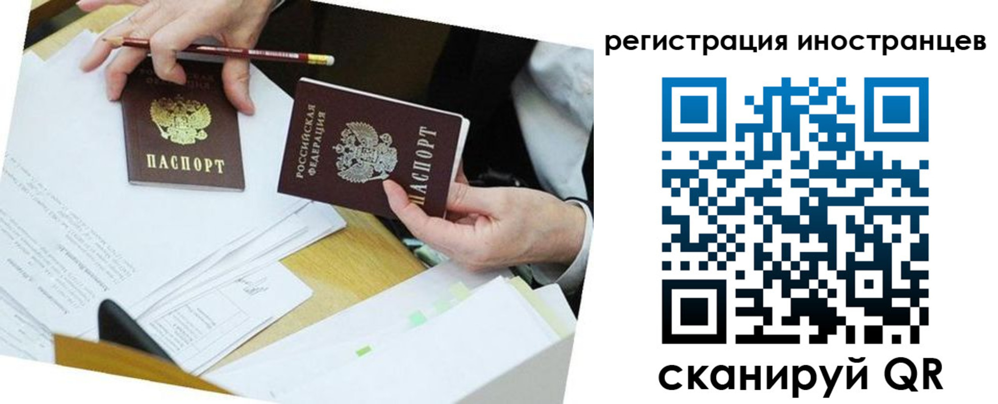 прописка ребенка в Сельцо